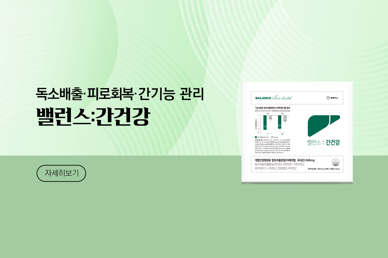 메인비주얼 이미지