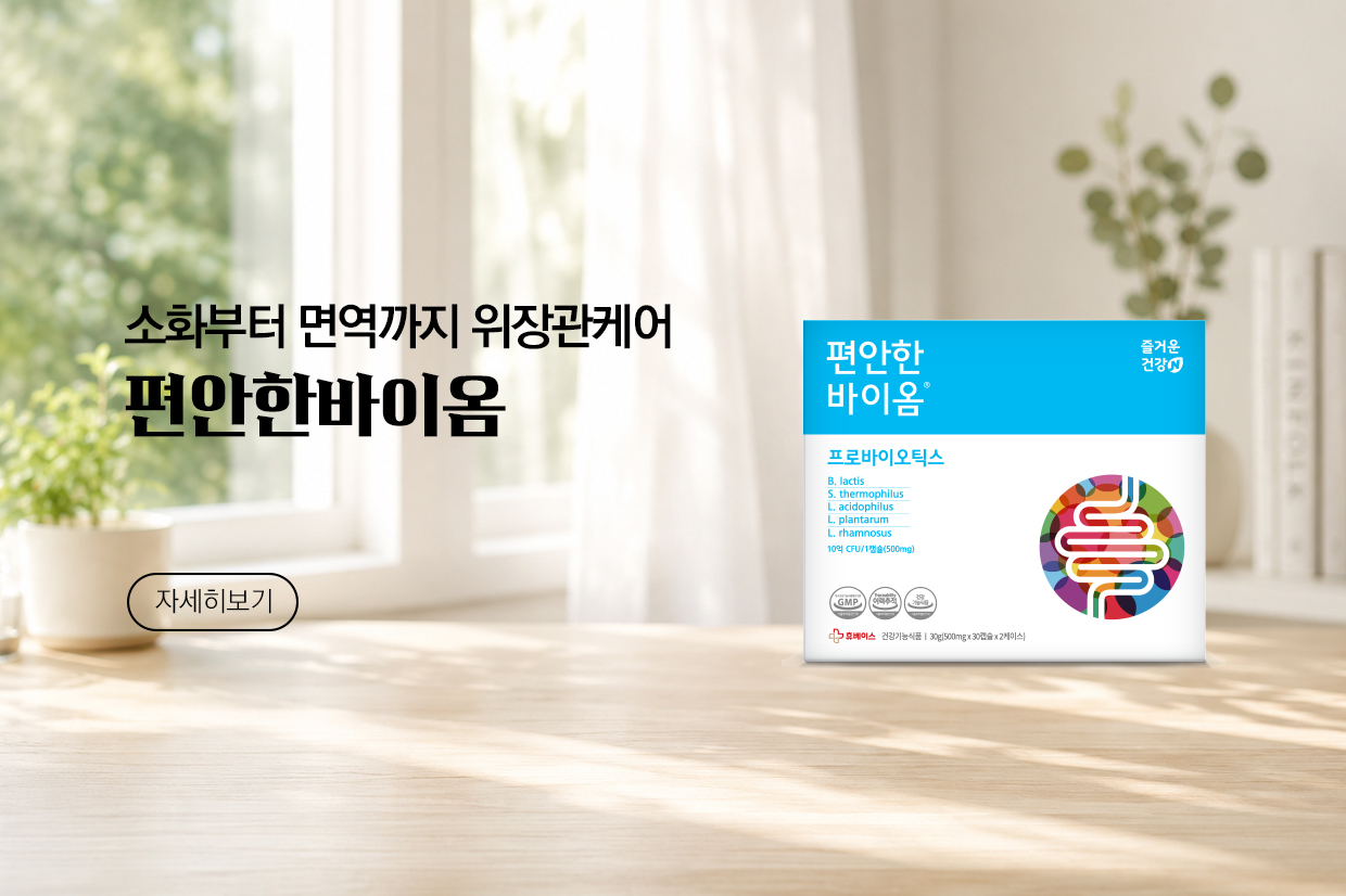 메인비주얼 이미지