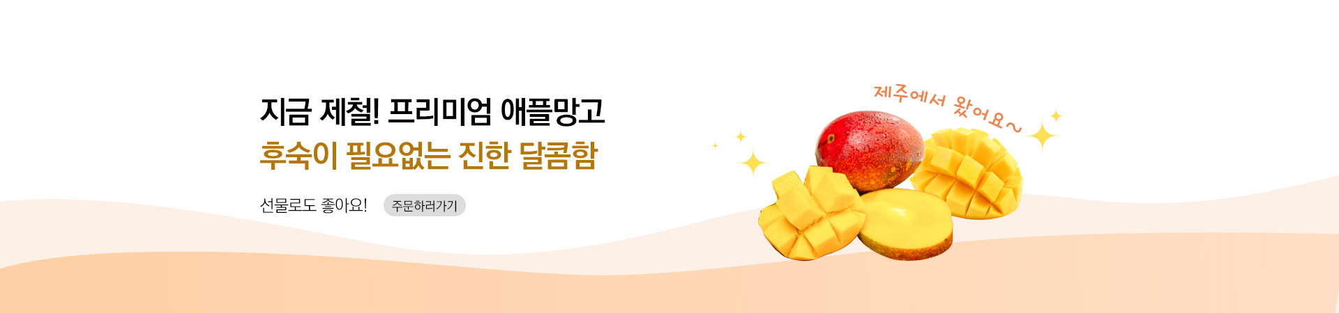 메인비주얼 이미지
