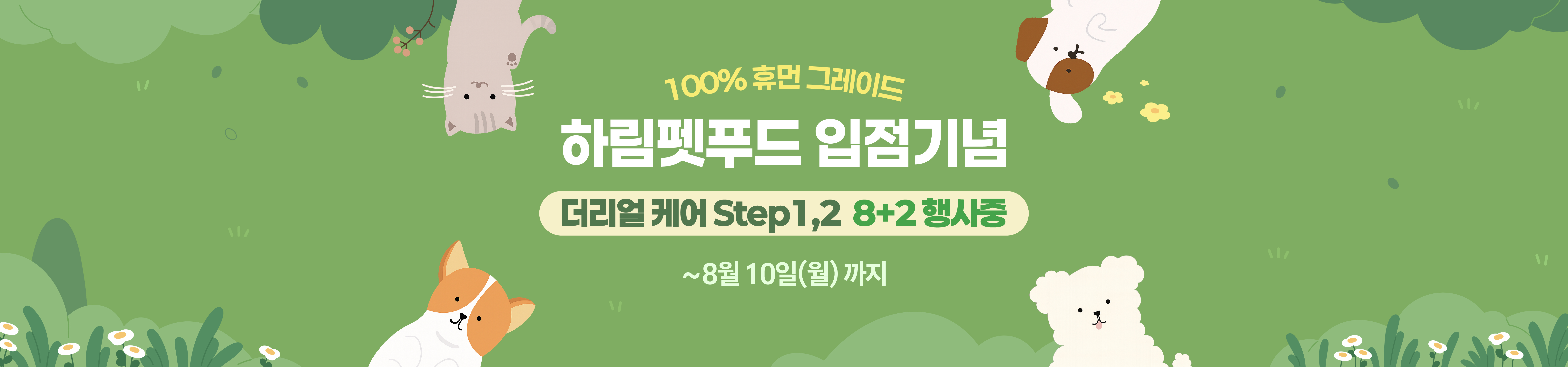 메인비주얼 이미지