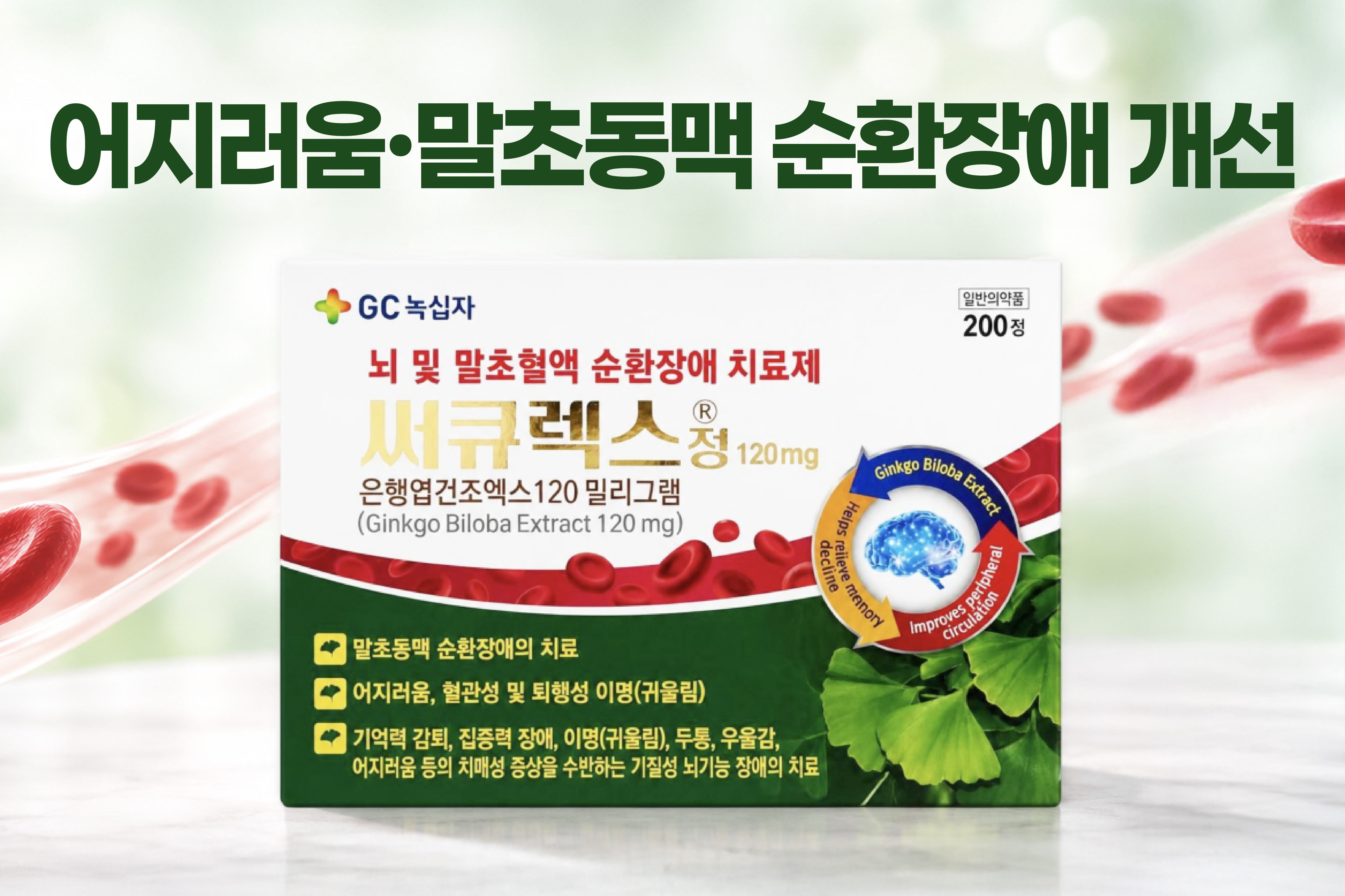 메인비주얼 이미지
