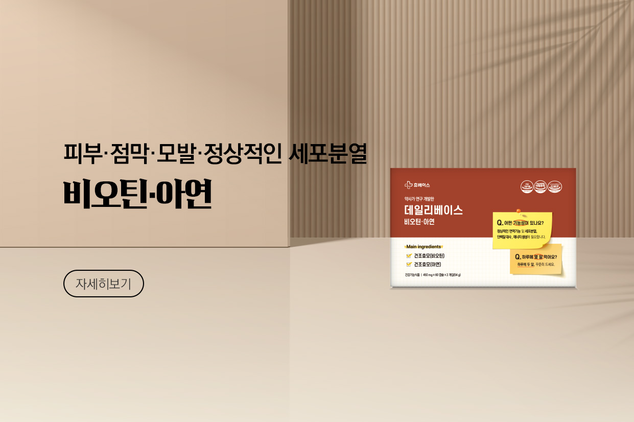 메인비주얼 이미지