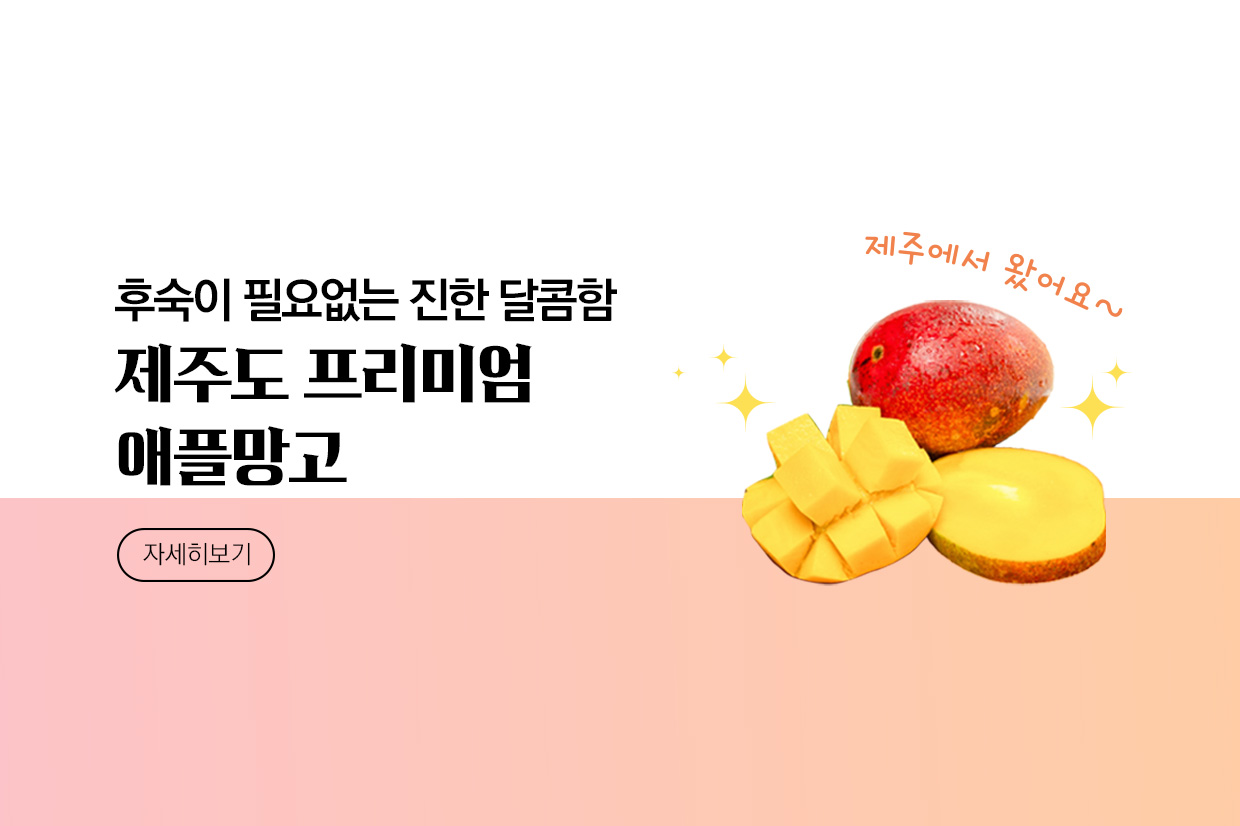메인비주얼 이미지
