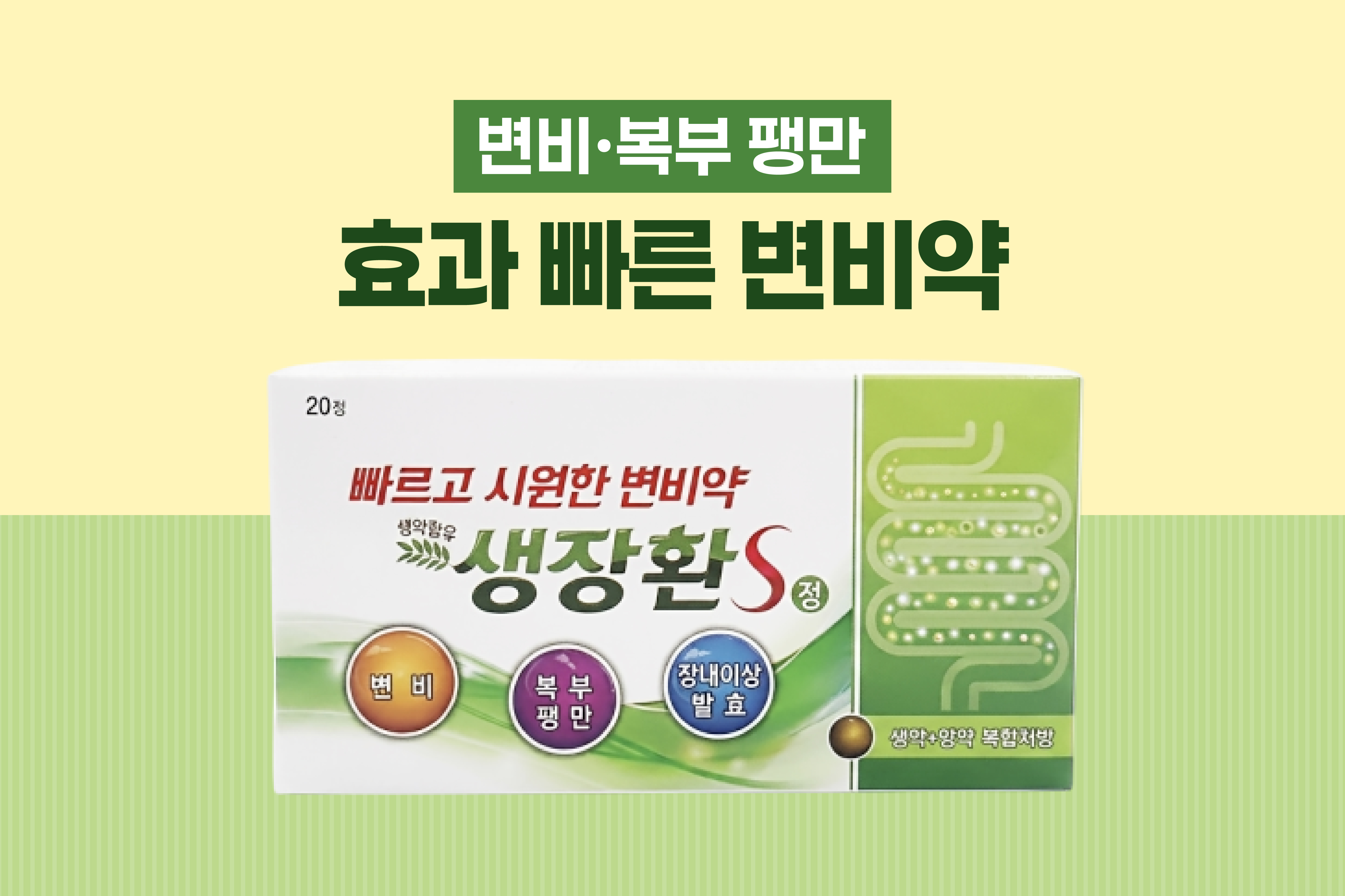 메인비주얼 이미지