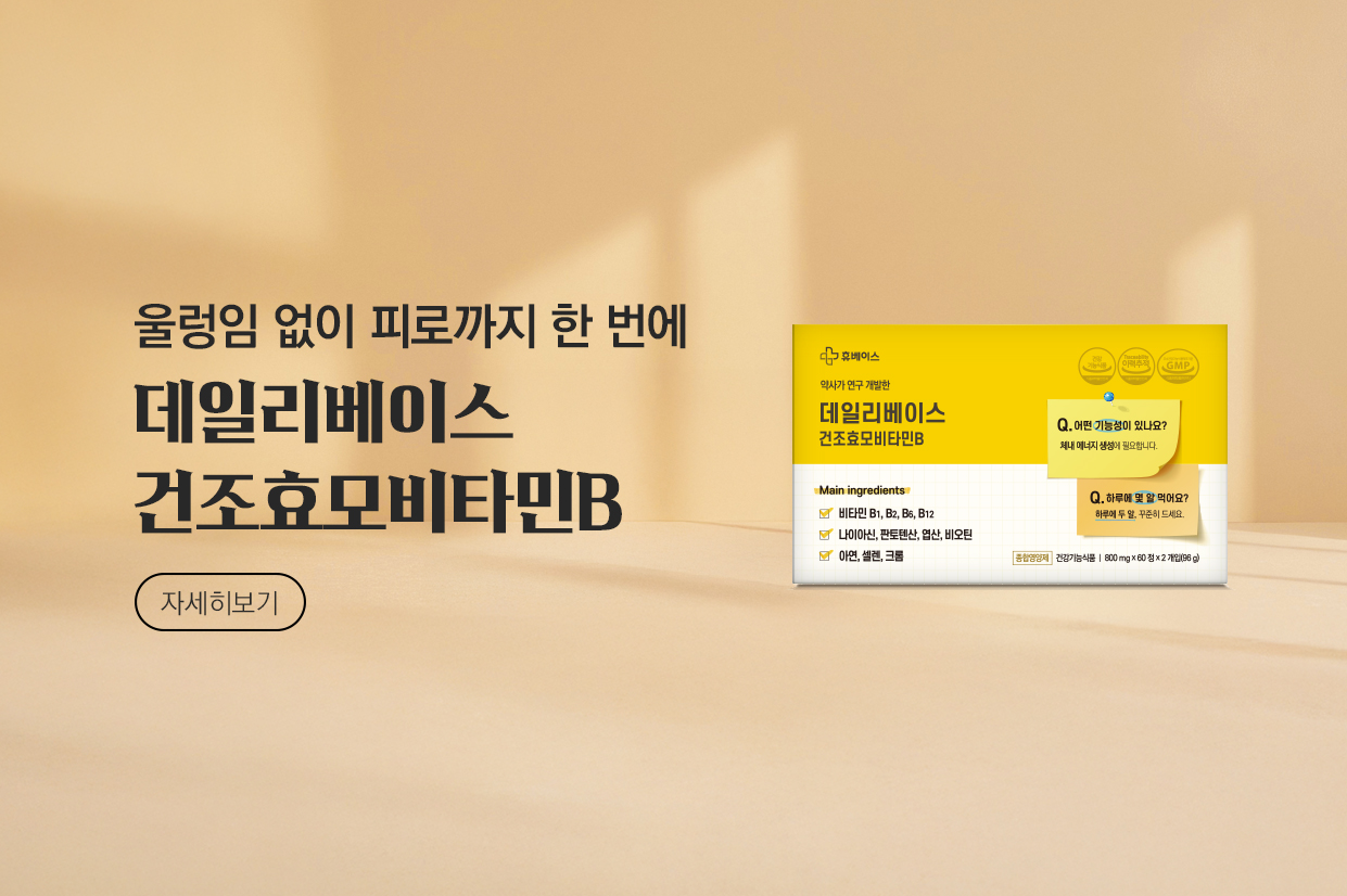 메인비주얼 이미지