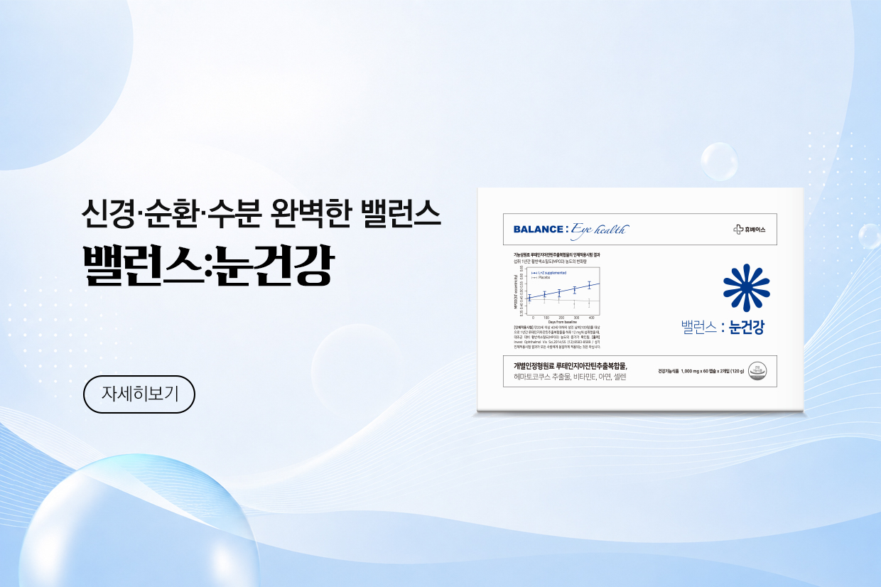 메인비주얼 이미지